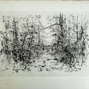 L'entree de la Foret - Yves Commere