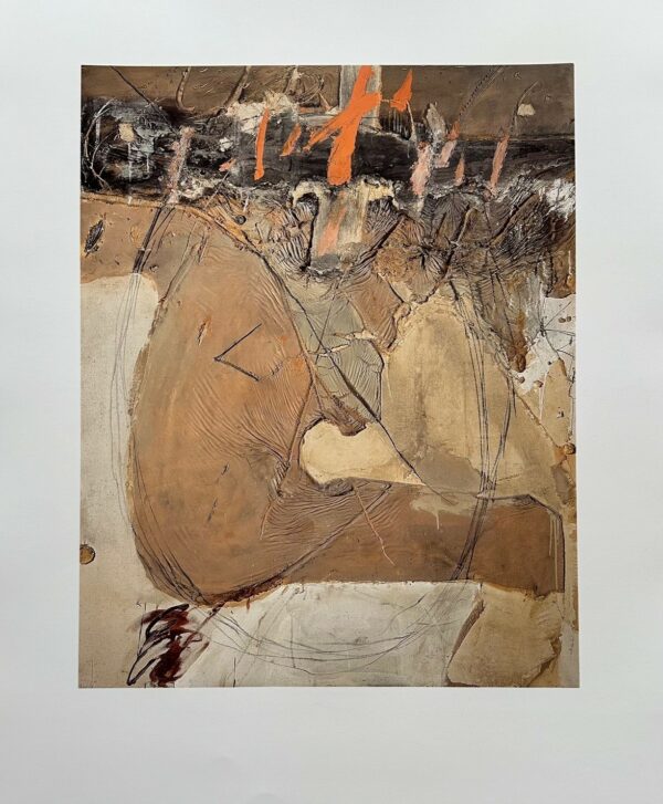 Roland Garros 2000 - Antoni Tapies