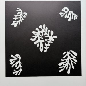 Voile de Calice Noir 1952 - Matisse Henri
