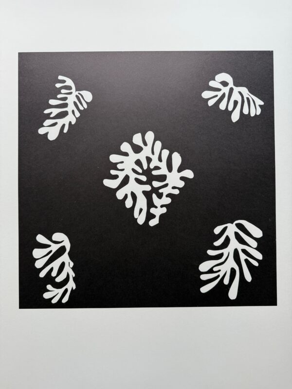 Voile de Calice Noir 1952 - Matisse Henri