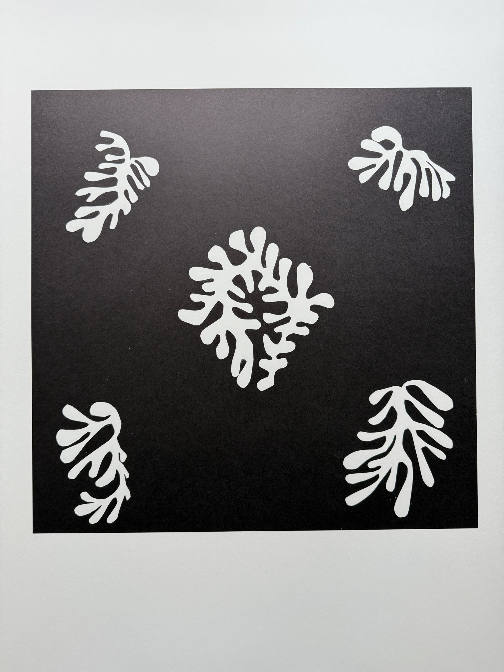 Voile de Calice Noir 1952 - Matisse Henri – Image 1