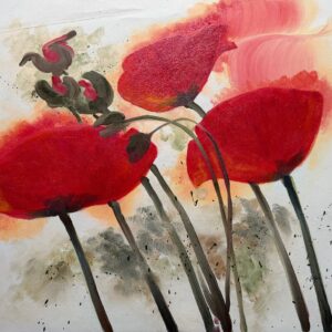 Coquelicots - Xxe Ecole Moderne