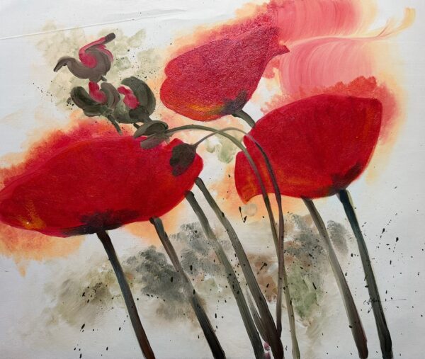 Coquelicots - Xxe Ecole Moderne