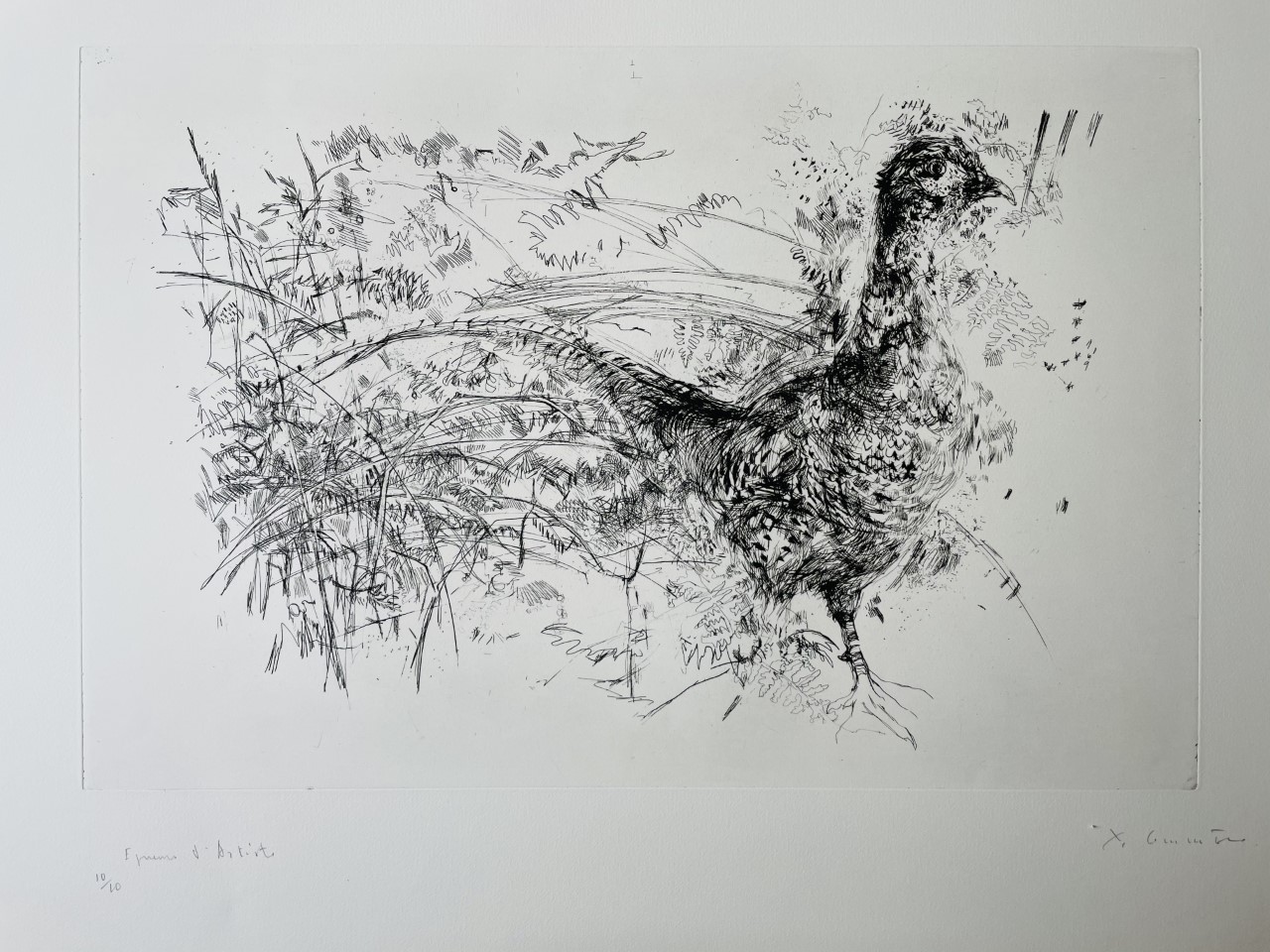 Le Paon - Yves Commere – Image 1