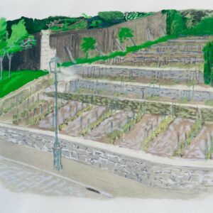 Vignes de France - Briancon Maurice