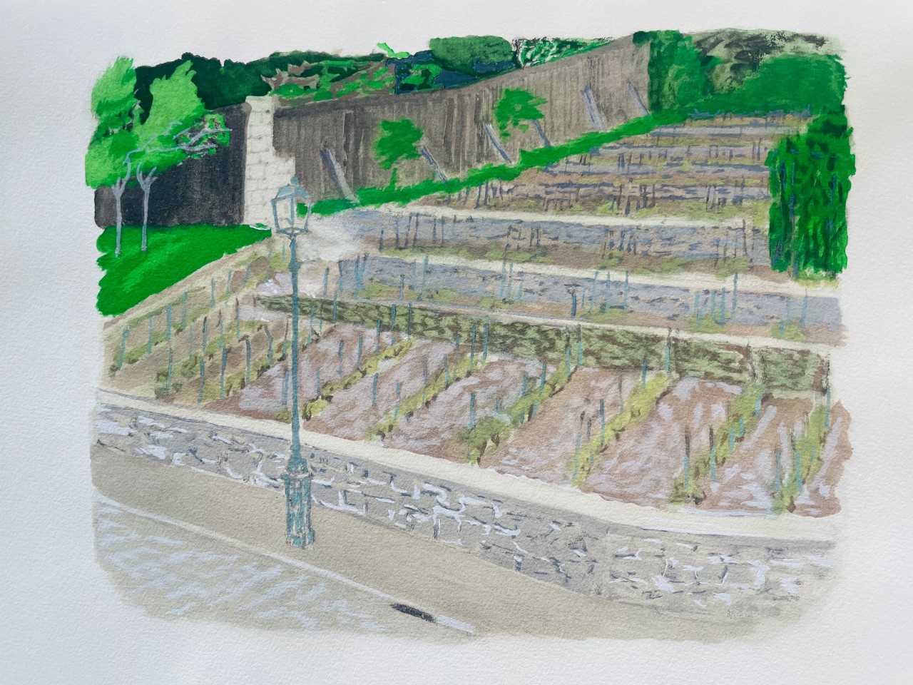 Vignes de France - Briancon Maurice – Image 1
