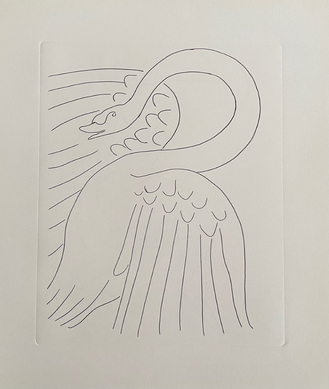 Sans Titre - Henri Matisse – Image 1