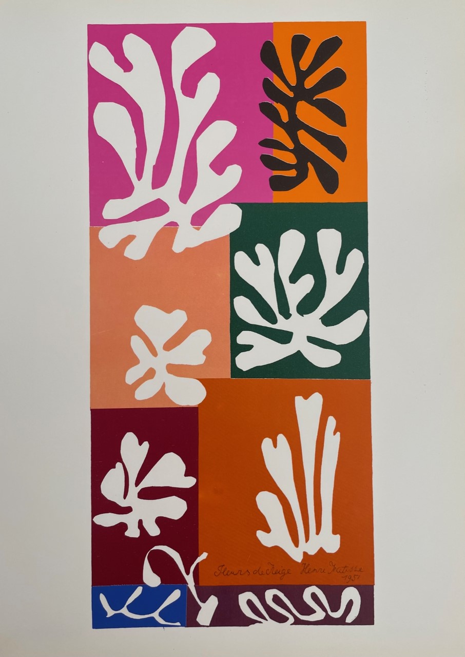 Fleurs de Neige - Henri Matisse – Image 1