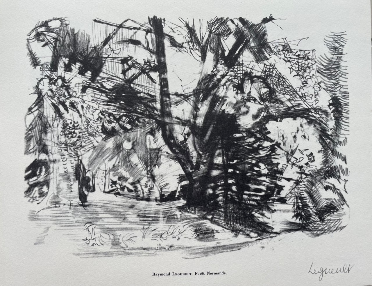 Foret Normande - Legueult Raymond – Image 1