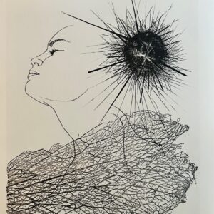 Profil - Tremoïs Pierre-Yves
