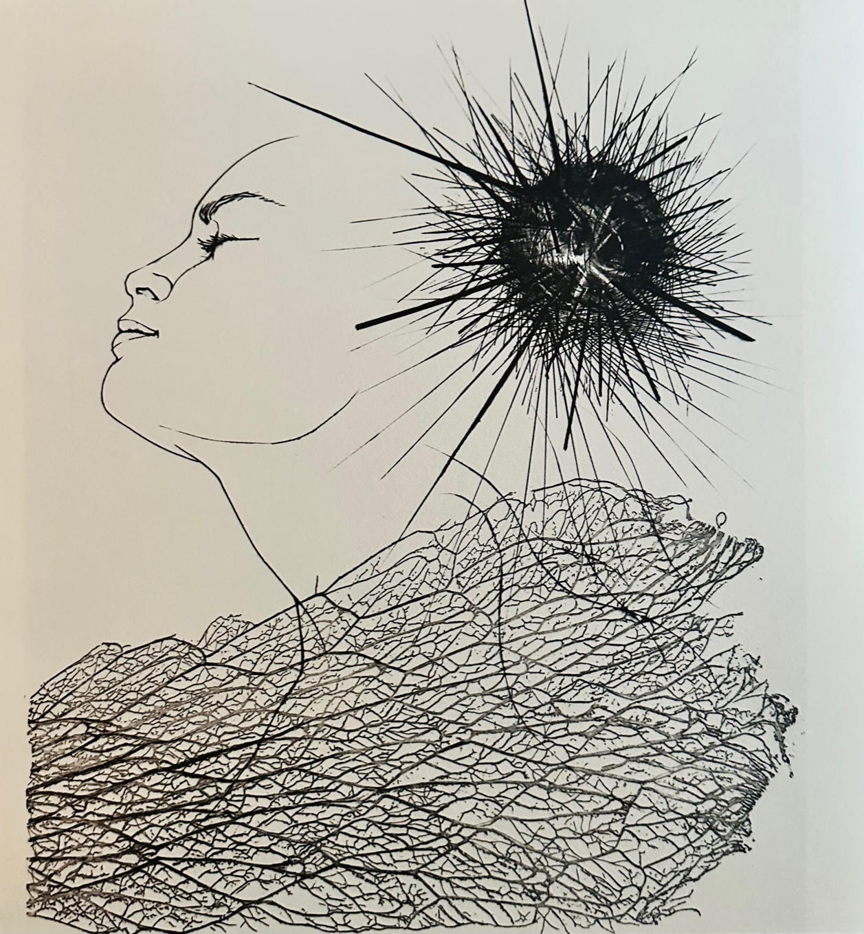 Profil - Tremoïs Pierre-Yves – Image 1