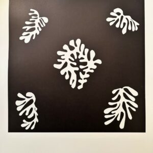 Voile de Calice Noir 1952 - Matisse Henri