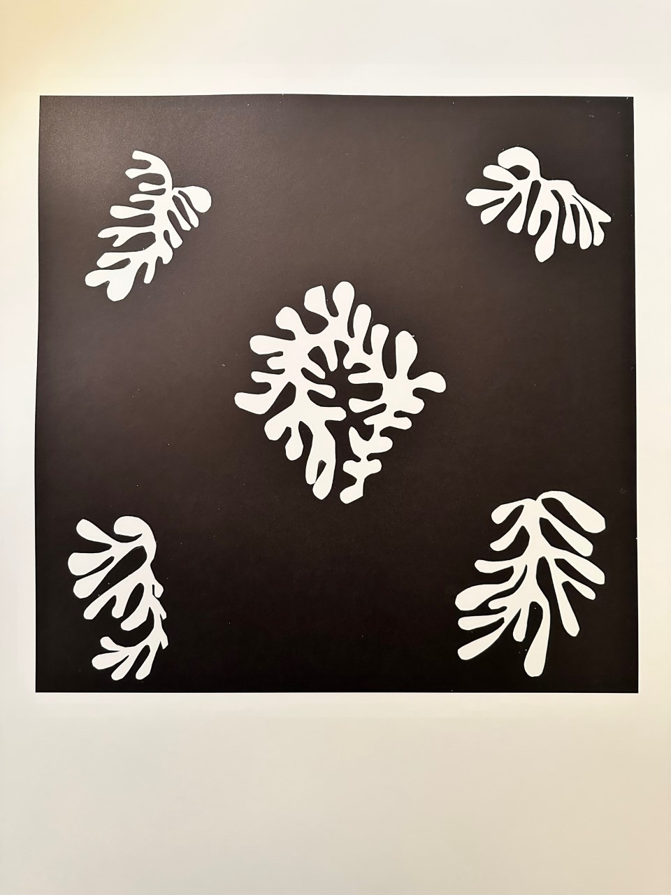 Voile de Calice Noir 1952 - Matisse Henri – Image 1