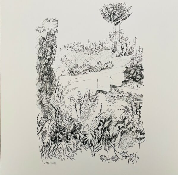 Le Chemin Feutré - Jules Cavailles