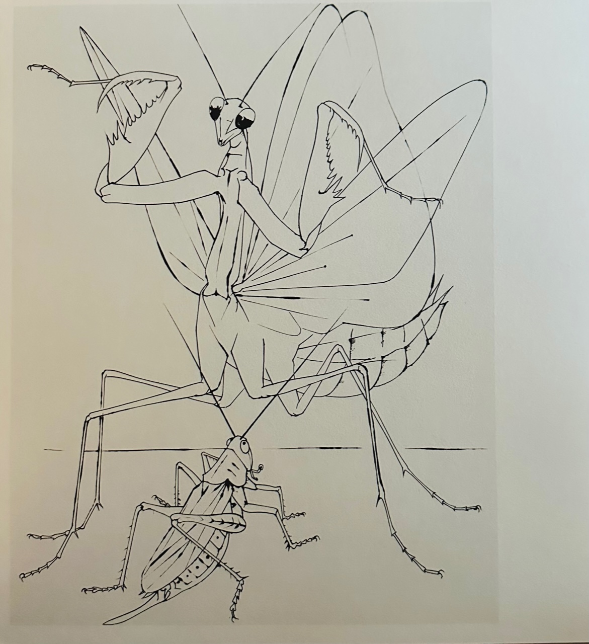 Sans Titre - Pierre-Yves Tremois – Image 1