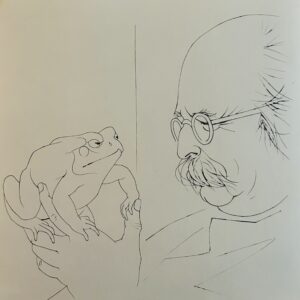 Le Regard - Pierre-Yves Tremois