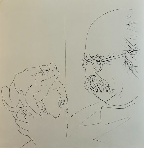 Le Regard - Pierre-Yves Tremois