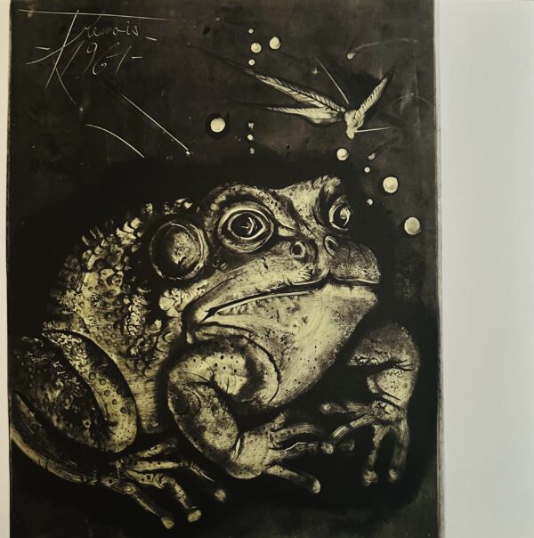 Crapaud - Pierre-Yves Tremois