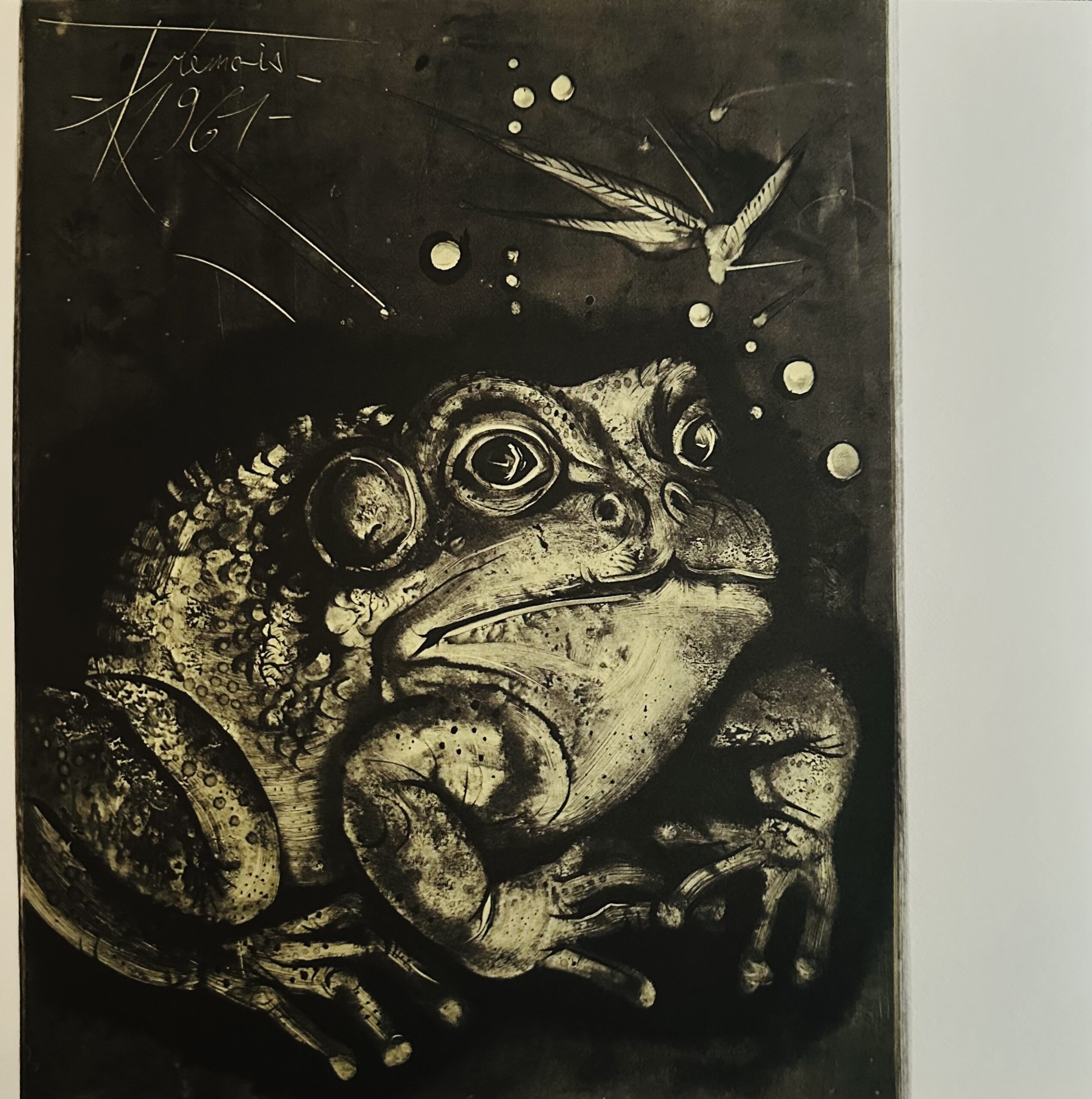 Crapaud - Pierre-Yves Tremois – Image 1