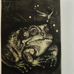 Crapaud - Pierre-Yves Tremois