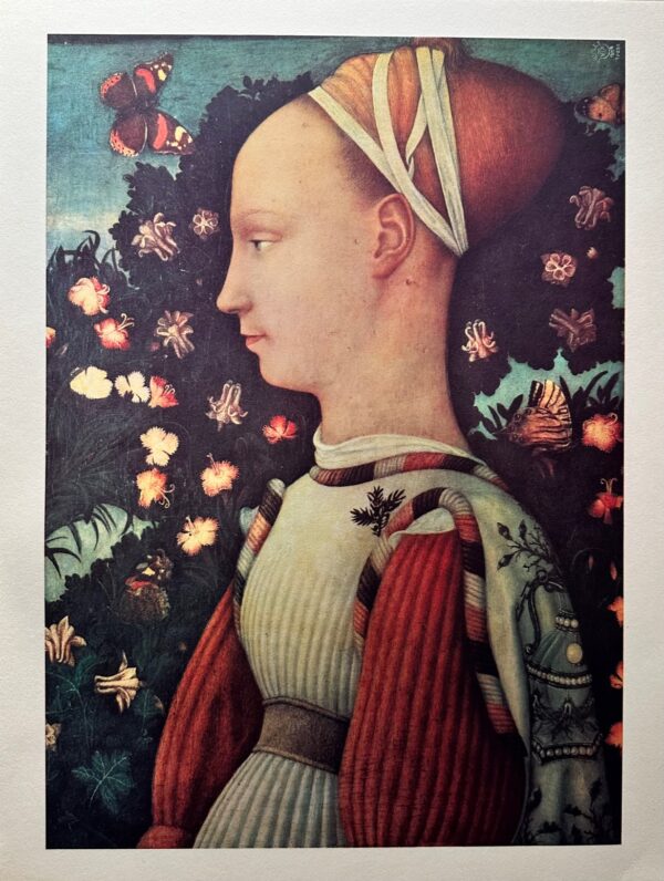 Princesse - Pisanello