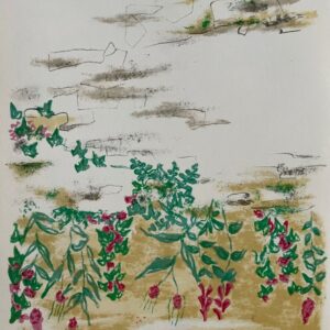 Jules Cavailles - Lithographie