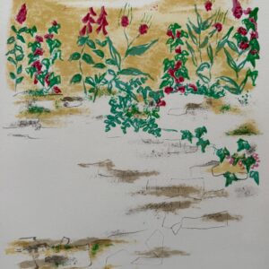Fleurs Sauvages - Jules Cavailles