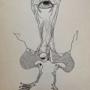 Le Cyclope des Marais - Félix Labisse