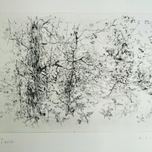 En Foret - Yves Commere