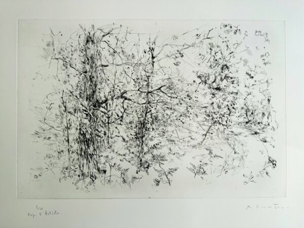 En Foret - Yves Commere