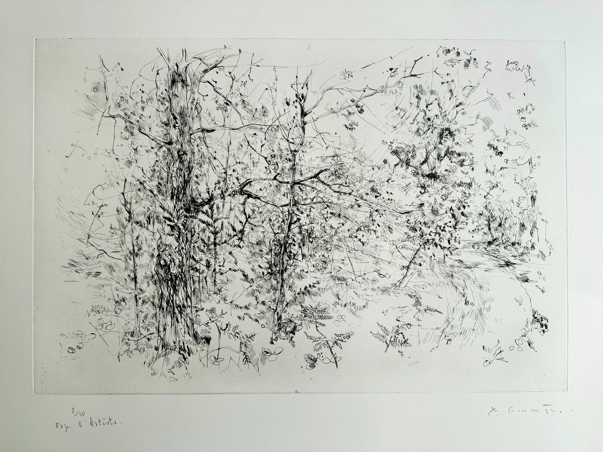 En Foret - Yves Commere – Image 1