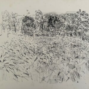 Champ de Seigle - Raoul Dufy