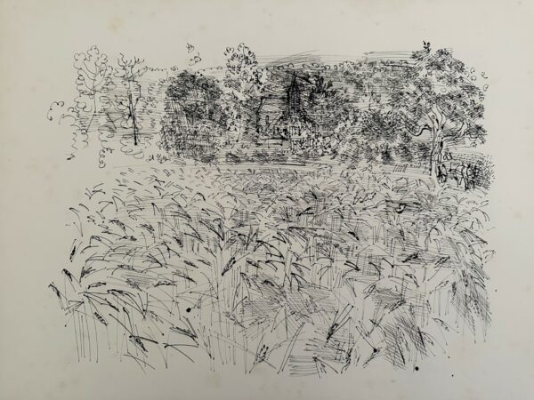 Champ de Seigle - Raoul Dufy