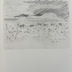Paysage avec Zebres - Gilles Aillaud