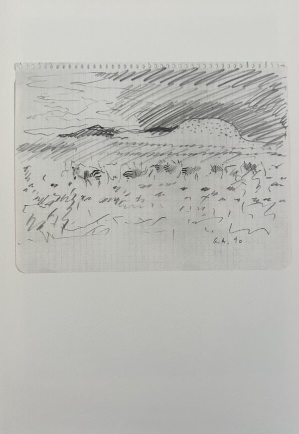 Paysage avec Zebres - Gilles Aillaud