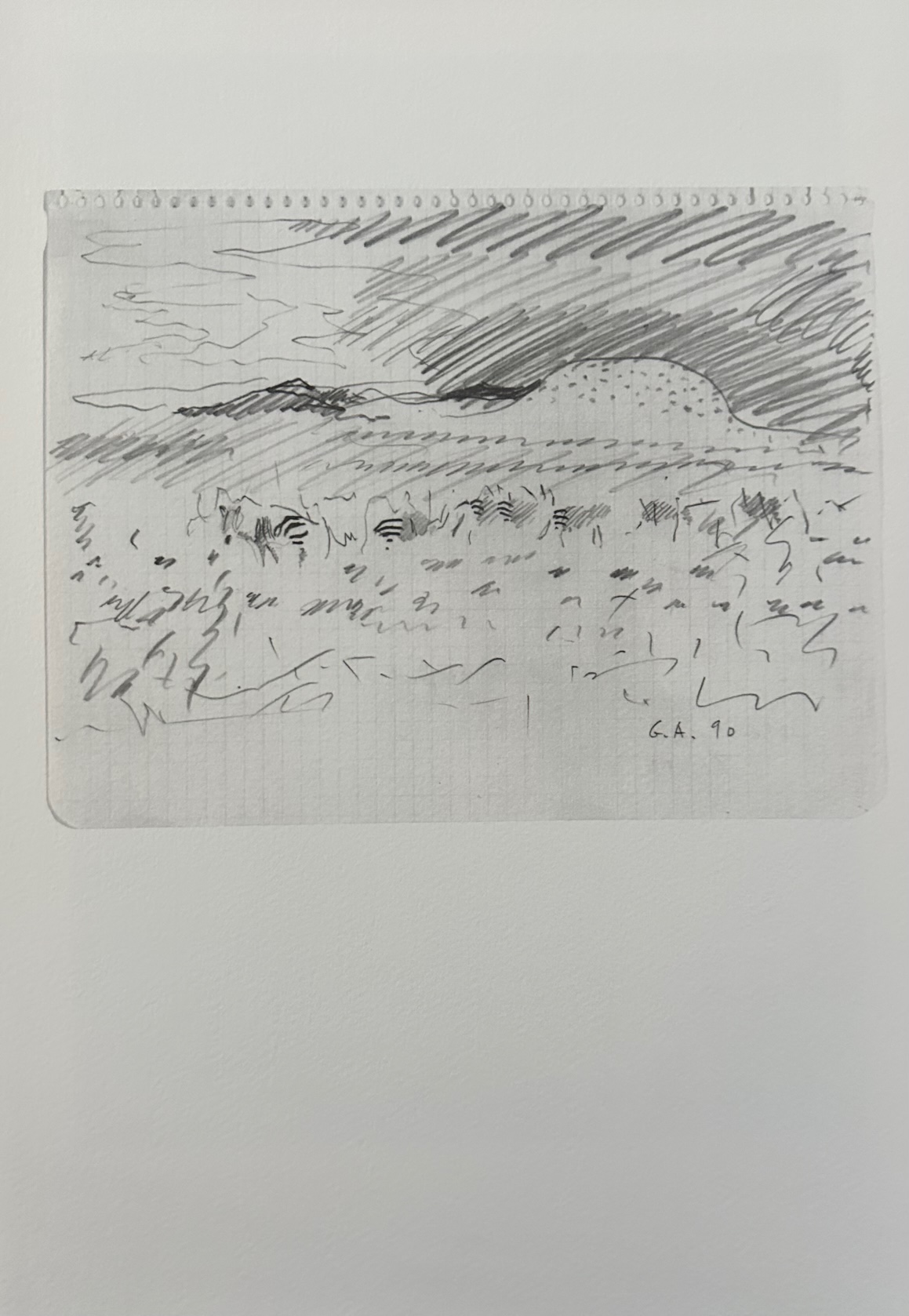 Paysage avec Zebres - Gilles Aillaud – Image 1