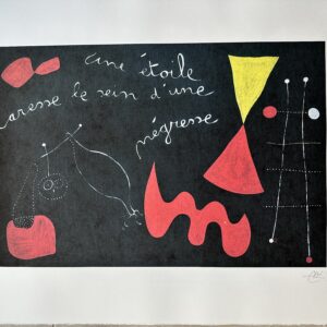 Une Etoile Caresse le Sein D'une Negresse - Joan Miro