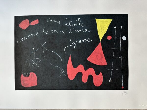 Une Etoile Caresse le Sein D'une Negresse - Joan Miro
