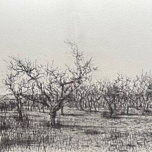 Oliviers dans les Alpilles - Jean Carzou