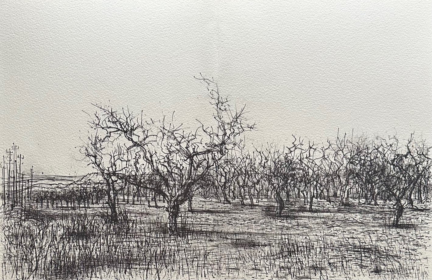 Oliviers dans les Alpilles - Jean Carzou – Image 1