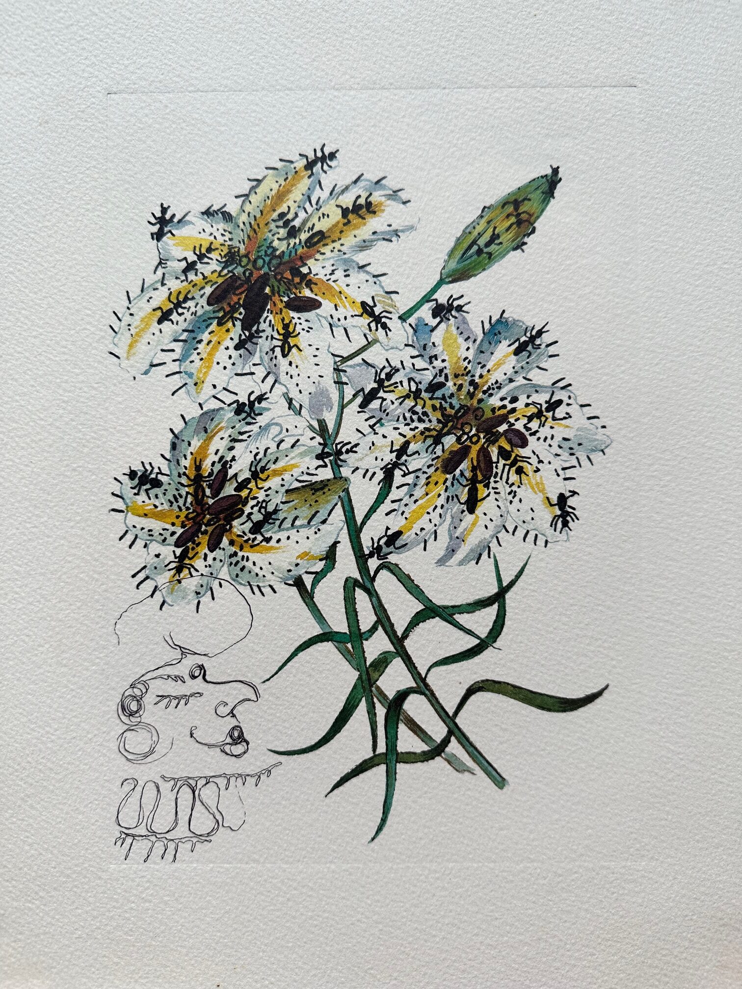 Fleurs Surrealistes 1972 - Salvador Dali – Image 1