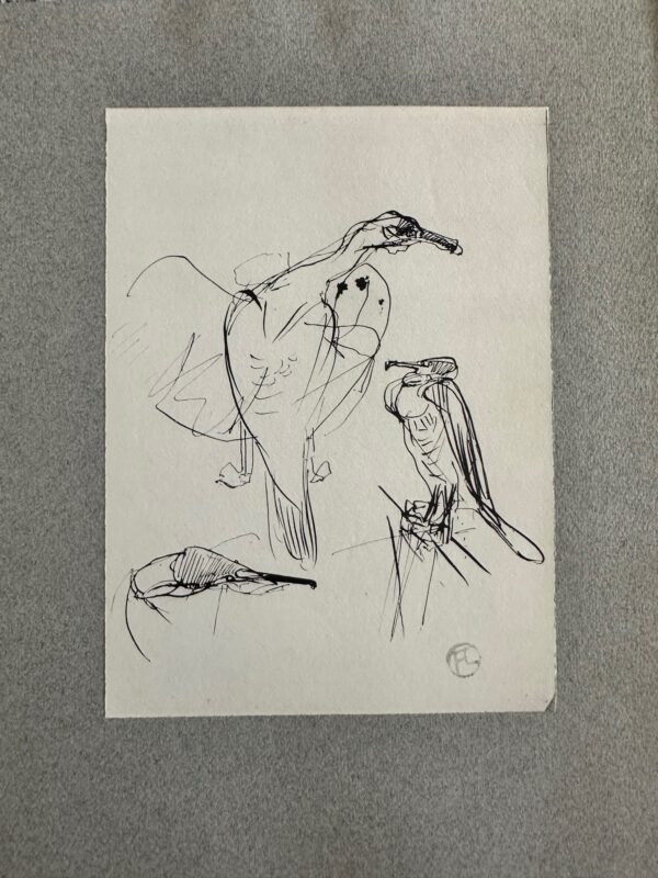 Grand Cormoran Bronze - Henri De Toulouse-Lautrec