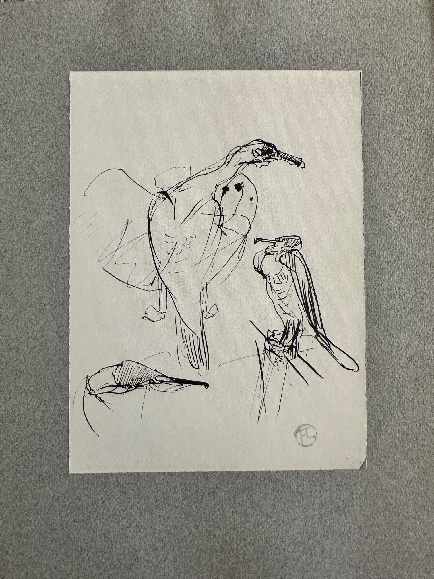 Grand Cormoran Bronze - Henri De Toulouse-Lautrec – Image 1