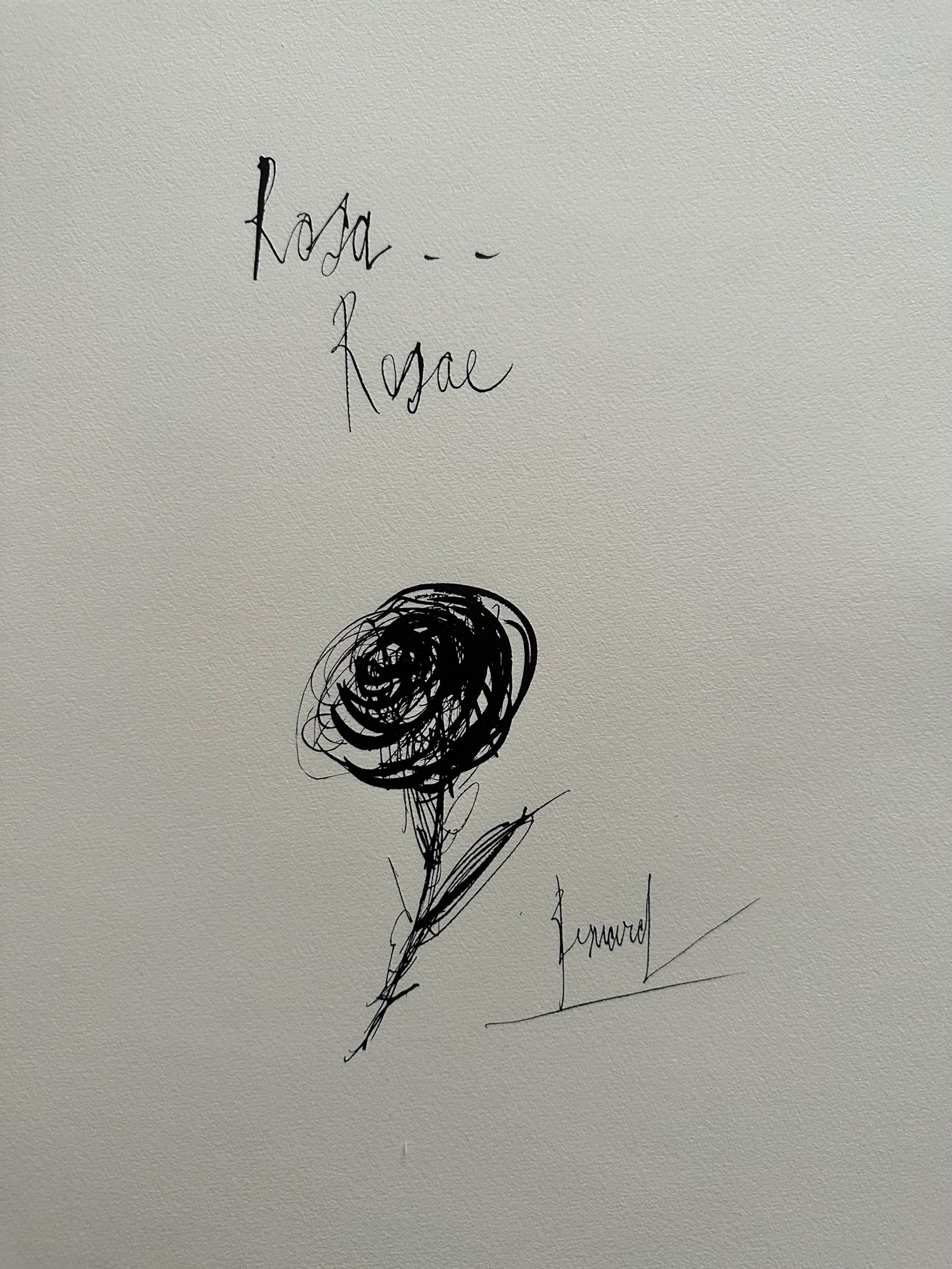 Rosa..rosae - Bernard Buffet – Image 1