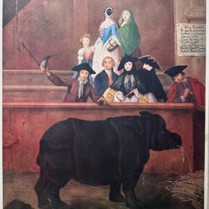 L'exposition Rhinoceros - Pietro Dit Pietro Longhi Falca