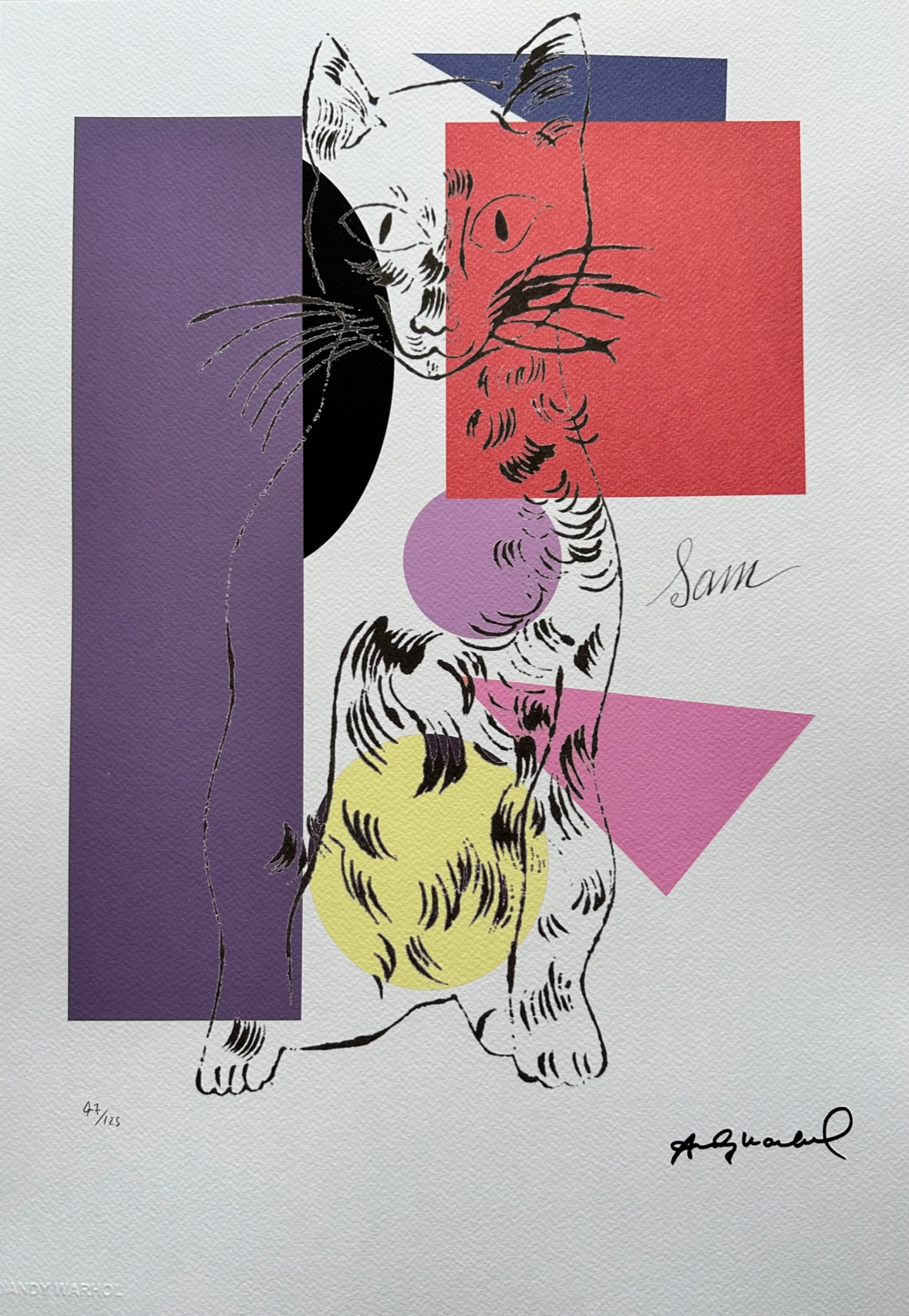 Sam - Andy Warhol – Image 1