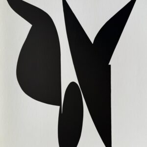 Dorog - Victor Vasarely