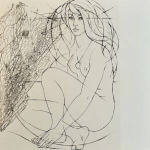 Nu Assis - Pierre-Yves Tremois
