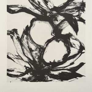 Fruits - Oppenheim Yves