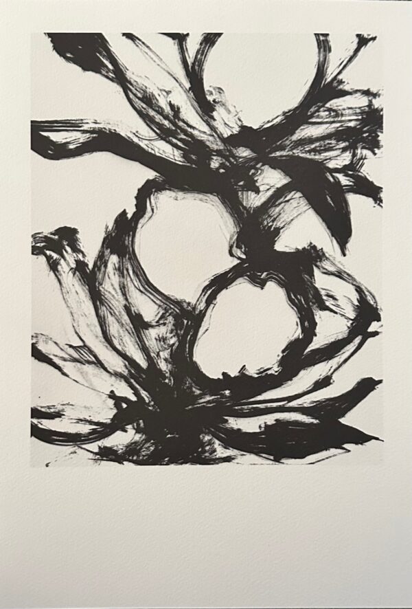 Fruits - Oppenheim Yves